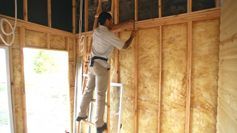 Best Batt and Roll Insulation  in Agency Village, SD